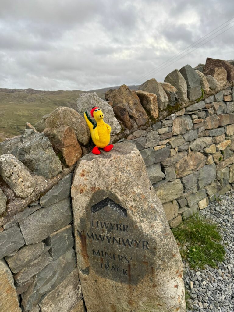 Snowden Climb 3